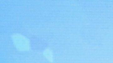 Espinoza Paz | Araya Diaz/Getty Images for AIDS Healthcare Foundation.