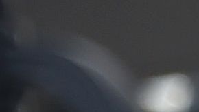 Los Angeles County Sheriff's deputies stand guard at the entrance to the Universal City Metro train station on December 6, 2016 in Universal City, California. Authorities ratcheted up security on the Los Angeles metro following a tip from overseas about an impending bomb attack Tuesday against a station in the sprawling rail network. The threat was relayed by an anonymous man who called a public safety line run by an unidentified foreign government, which then passed on the information to a Federal Bureau of Investigation terrorism task force, said Deirdre Fike, assistant director in charge of the FBI's office in Los Angeles. / AFP / Robyn Beck (Photo credit should read ROBYN BECK/AFP via Getty Images)