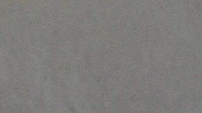 Hispanos padecen discriminación de otros hispanos.