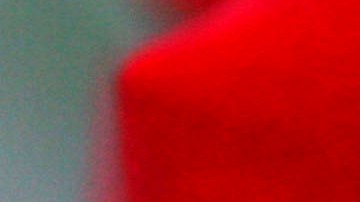 Escuela católica en Philadelphia vende por error rosas con una tanga en su interior