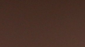 Guillermo 'Memo' Ochoa, portero mexicano.