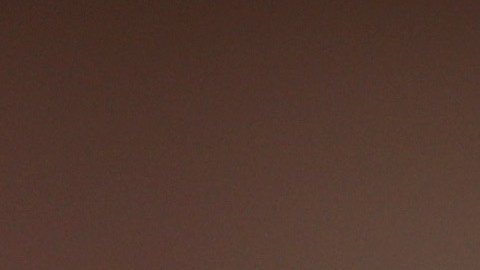 Guillermo 'Memo' Ochoa, portero mexicano.