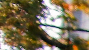 New York Nueva York Brooklyn