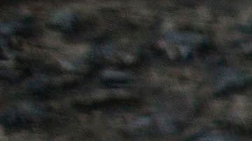 Filadelfia Asesinato Tiroteo