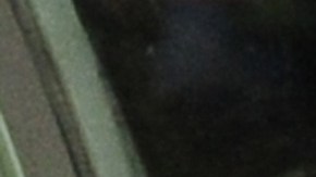 Imagen de referencia de un árbitro de la Euroliga.