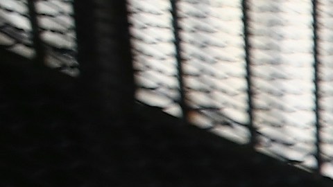 El Tri de talla baja puso en alto el nombre de México.