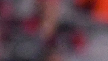 Gignac demostró que tiene habilidades para el boxeo.