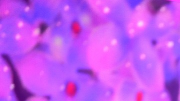 Helen Ochoa es Jenni Rivera