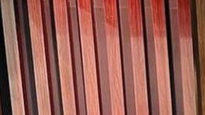 Ana Patricia y Rafael Araneda