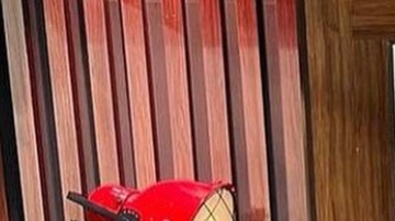 Ana Patricia y Rafael Araneda