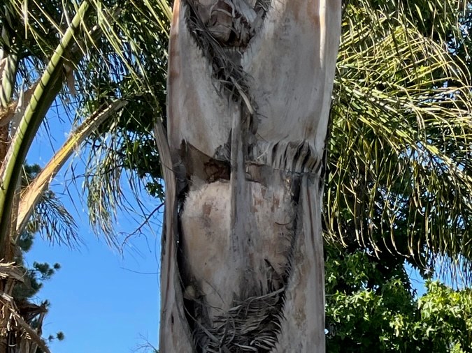 La mujer salió al porche de la casa y actuaba de manera extraña. /Foto: Ricardo López J.
