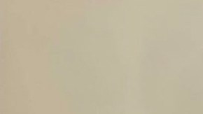 Raphy Pina, Natti Natasha y Vida Isabel