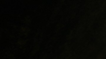 Indiana Jones, quinta película | CORTESÍA.