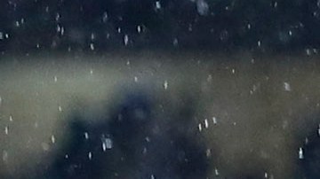 Higor Meritao tocó el trofeo antes de ingresar a la cancha del Estadio Olímpico Universitario.