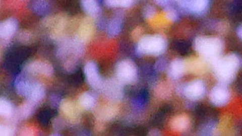 Puebla y América dividieron puntos en el Estadio Cuauhtémoc.