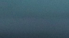 El equipo azul y crema llegó a las semifinales de la Liga MX.