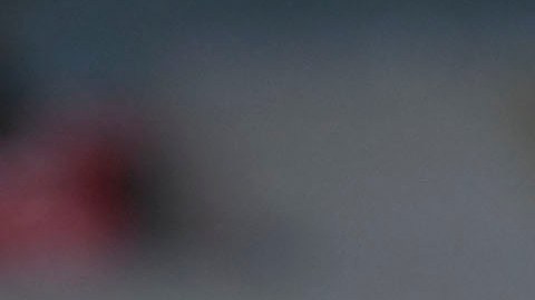 Alejandro Zendejas celebra junto a sus compañeros la clasificación del América a las semifinales del Clausura 2022 de la Liga MX.
