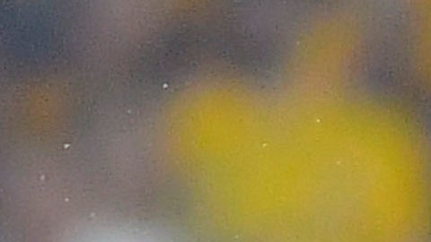 El duelo entre Tigres y Atlas estuvo envuelto en mucha polémica