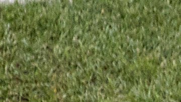 El técnico colombiano confesó que podía seguir por cuatro años más en la selección mexicana.