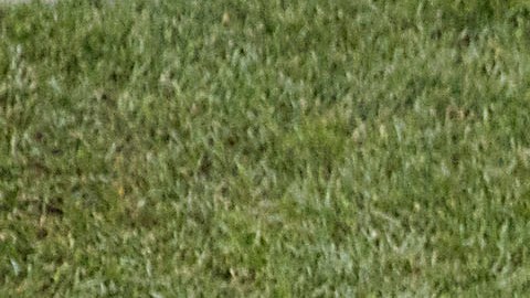 El técnico colombiano confesó que podía seguir por cuatro años más en la selección mexicana.