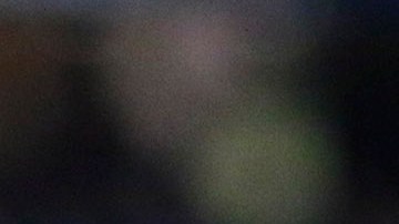 Santiago Baños, director deportivo del Club América.