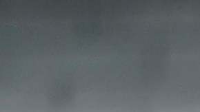 Juan Dinenno y Alfredo Talavera tienen un pie fuera de Pumas.