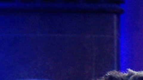 José Eduardo y Eugenio Derbez | Cortesía Amazon.