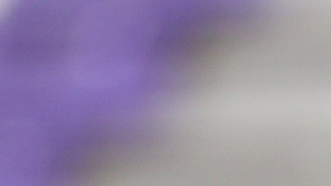 Luis Suárez celebra un gol contra el Valladolid.