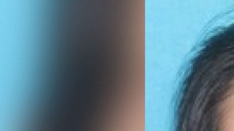 Madre de Pennsylvania acusada de disparar en la cabeza a dos hijos pequeños mientras dormían