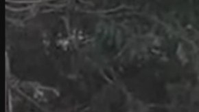 Masacran a familia de policía mexicano por venganza.