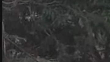 Masacran a familia de policía mexicano por venganza.