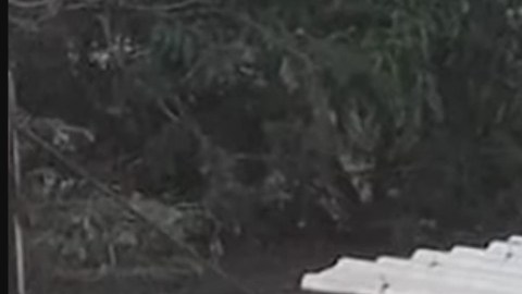 Masacran a familia de policía mexicano por venganza.