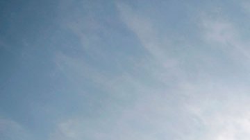 De la prohibición a la promoción de mezcal con marihuana