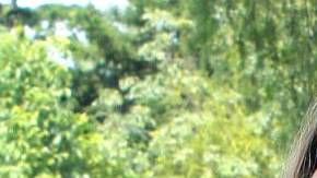 Michelle Renaud / Osvaldo Benavides.