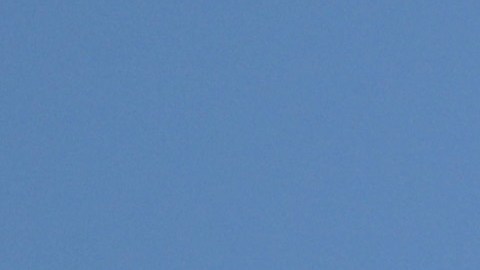 Modelo 'fuera de control' recibe 2 millones de visitas en TikTok por mostrar su tanga en pleno vuelo