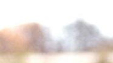 Asesinato Homicidio Sídney Homosexual gay