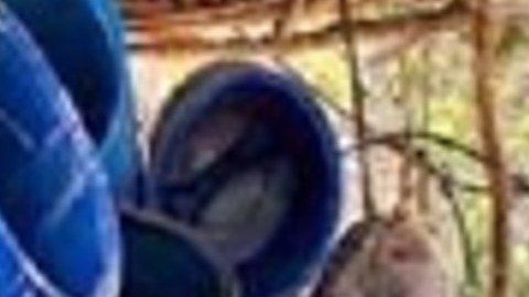 Soldados mexicanos aseguran laboratorios del CJNG, ubicados en el estado de Michoacán.