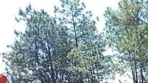 Operativo militar en Michoacán.