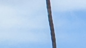 Erika Cuellar (i) junto a miembros previamente encarcelados y voluntarios. (Jacqueline García/La Opinión)