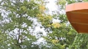 Atlanta DUI Accidente