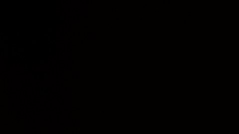 Conoce tu carta del tarot para la semana