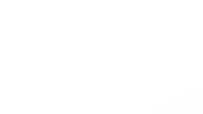 Auto cubierto por funda