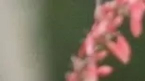 Familiares con sus hijos tras la matanza en una escuela en Uvalde, Texas.