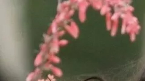 Familiares con sus hijos tras la matanza en una escuela en Uvalde, Texas.