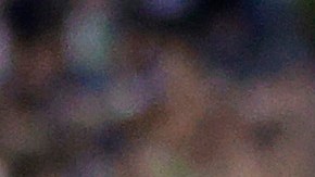 Raúl Ruidiaz tuvo una polémica celebración al anotar uno de los tantos de Seattle Sounders.