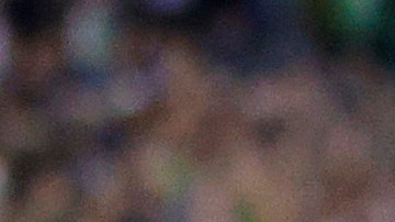 Raúl Ruidiaz tuvo una polémica celebración al anotar uno de los tantos de Seattle Sounders.