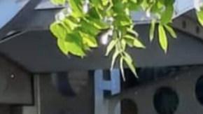 Robo deriva en balacera entre sicarios del Cártel de Sinaloa.