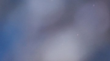 El DT del Bayer Leverkusen opinó acerca de los futbolistas mexicanos.