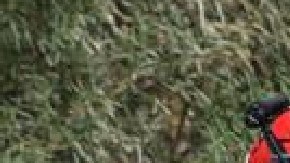 Drama migrante no se detiene en México; recuperan cuerpo de migrante peruano que flotaba en Río Bravo