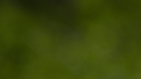 Soldado de EE.UU. muere atacado por un oso durante ejercicio de entrenamiento en Alaska